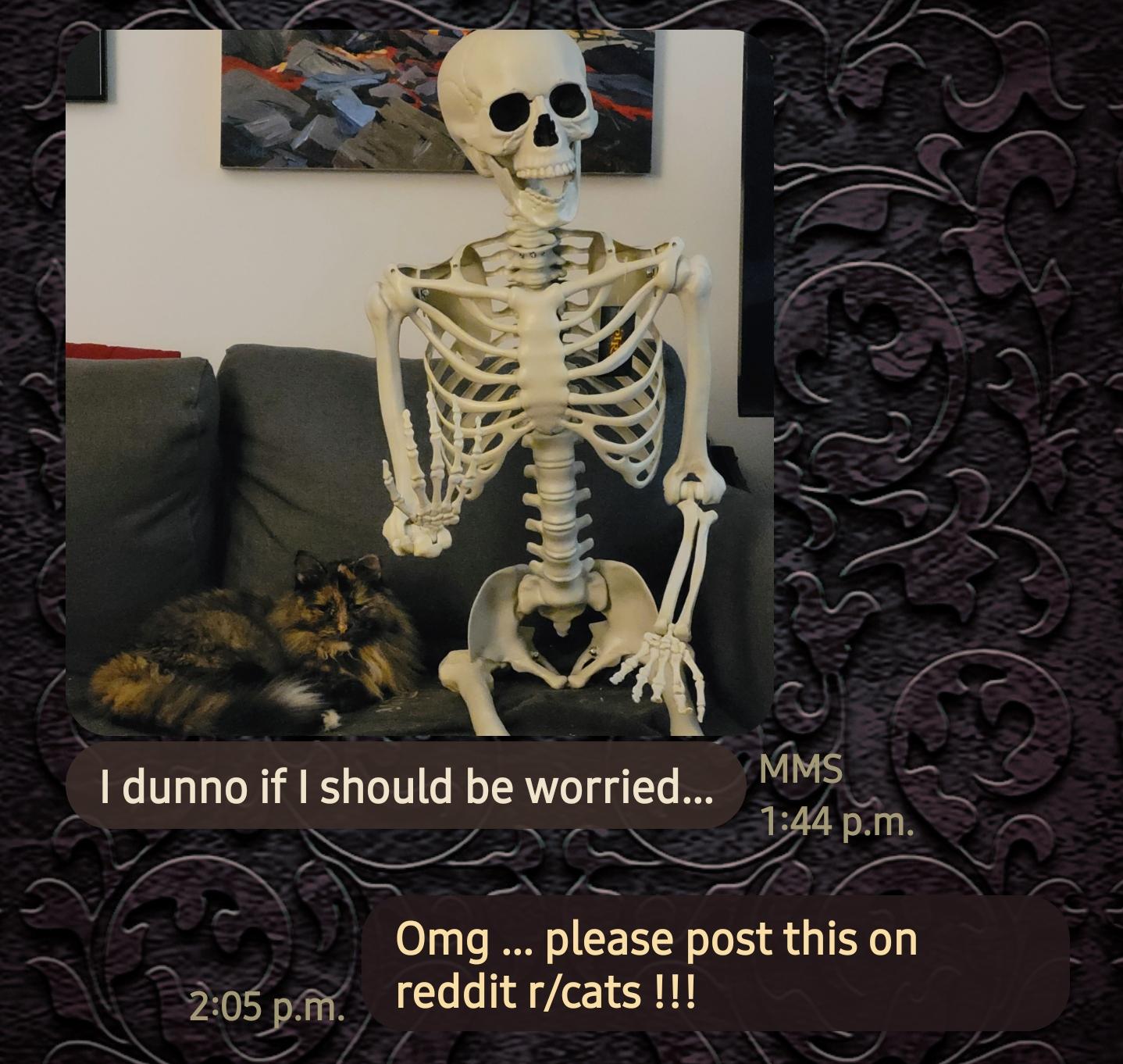 Post image preview